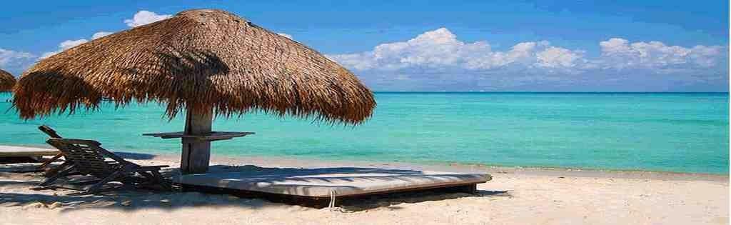 08d307b1-aa2d-4af7-9fb4-990a12a0c462_ocean_bg_op.jpg